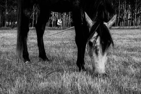 Fotógrafo de casamentos em Coimbra, Leiria, Aveiro.
Fotografia documental de casamento. Fotografia com emoção, paixão e sem poses. Imagens verdadeiras e cheias de amor.
Fotografamos em todo o país. Sessão Solteiros em São Caetano e na Costa Nova.'