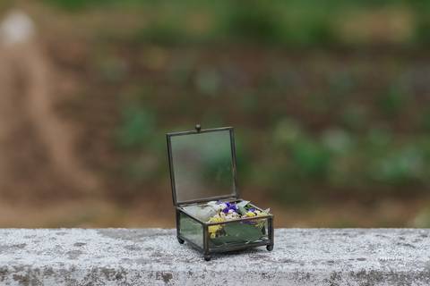 Fotógrafo de casamentos em Leiria,Coimbra Aveiro.
Fotografia documental de casamento. Fotografia com emoção, paixão e sem poses. Imagens verdadeiras e cheias de amor.
Fotografamos em todo o país. Casamento em Ansião e na Quinta das Abertas.'