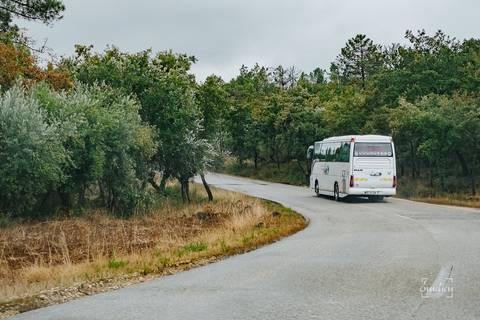 Fotógrafo de casamentos em Leiria,Coimbra Aveiro.
Fotografia documental de casamento. Fotografia com emoção, paixão e sem poses. Imagens verdadeiras e cheias de amor.
Fotografamos em todo o país. Casamento em Ansião e na Quinta das Abertas.'