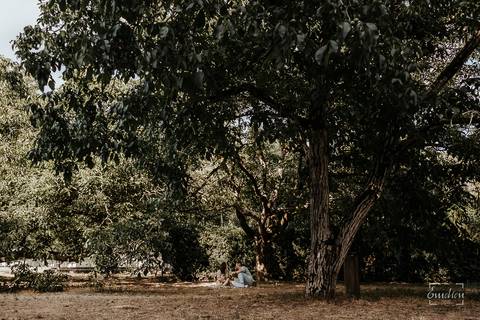 Sessão Solteiros Daniela e Sérgio Fotógrafo de casamentos em Coimbra, Leiria, Aveiro.'