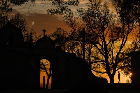 Sessão Solteiros da Ema e Fábio na Mata do Buçaco. Fotógrafo de casamentos em Cantanhede, Coimbra, Leiria, Aveiro.'