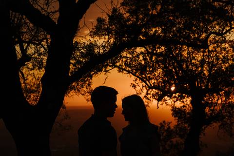Sessão Solteiros da Ema e Fábio na Mata do Buçaco. Fotógrafo de casamentos em Cantanhede, Coimbra, Leiria, Aveiro.'