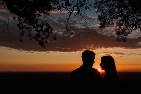 Sessão Solteiros da Ema e Fábio na Mata do Buçaco. Fotógrafo de casamentos em Cantanhede, Coimbra, Leiria, Aveiro.'