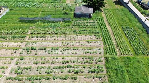 Agricultura na Zona Oeste'