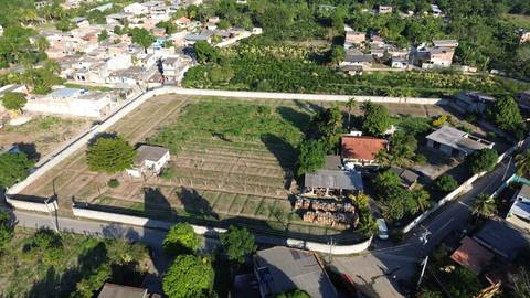 Agricultura na Zona Oeste'