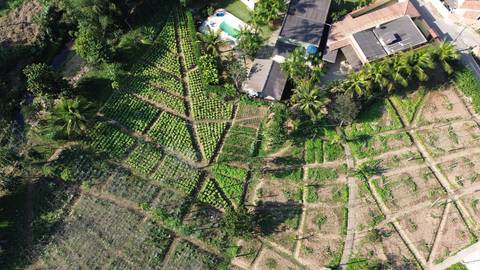 Agricultura na Zona Oeste'