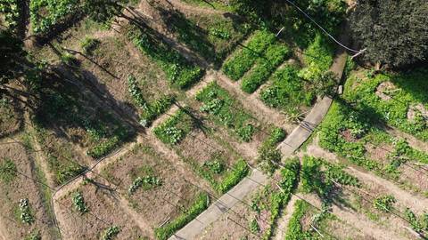 Agricultura na Zona Oeste'