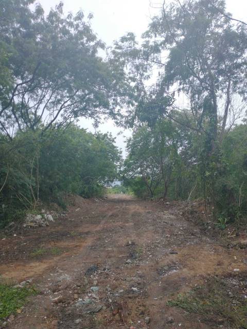 Limpeza da estr p apresentação ao prefeito como projeto'