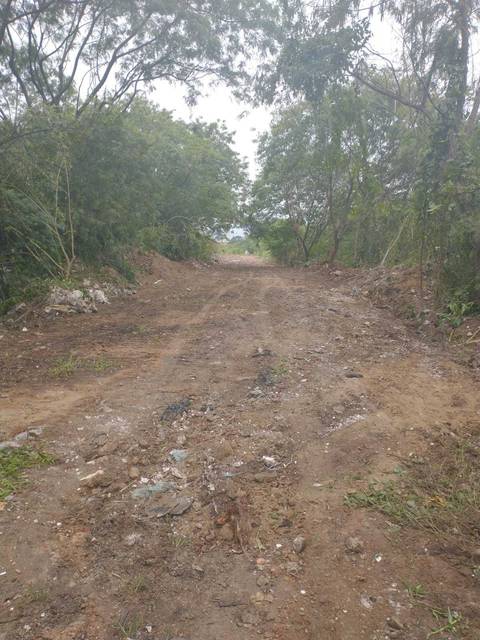 Limpeza da estr p apresentação ao prefeito como projeto'