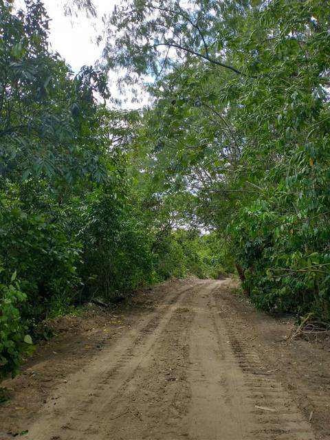 Limpeza da estr p apresentação ao prefeito como projeto'
