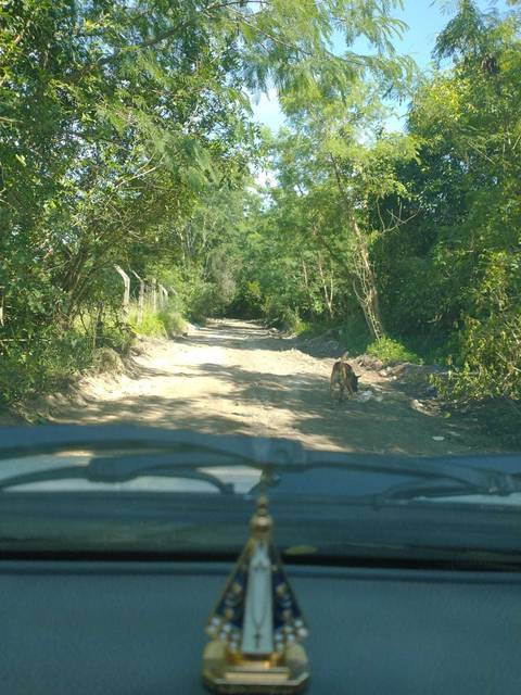 Limpeza da estr p apresentação ao prefeito como projeto'