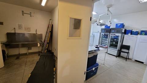 Depósito que virou centro cirúrgico 
maio de 2023'