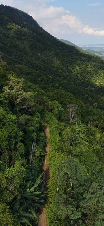 Light na estrada da Torre trocando poste'