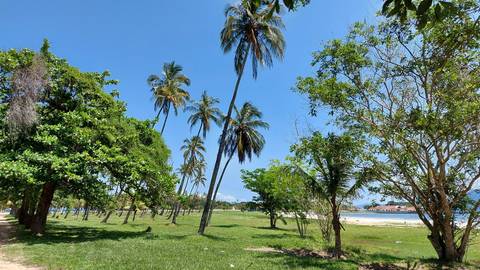 Coqueiros frente a igreja'