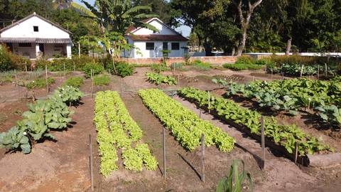 Horta orgânica na Marambaia'
