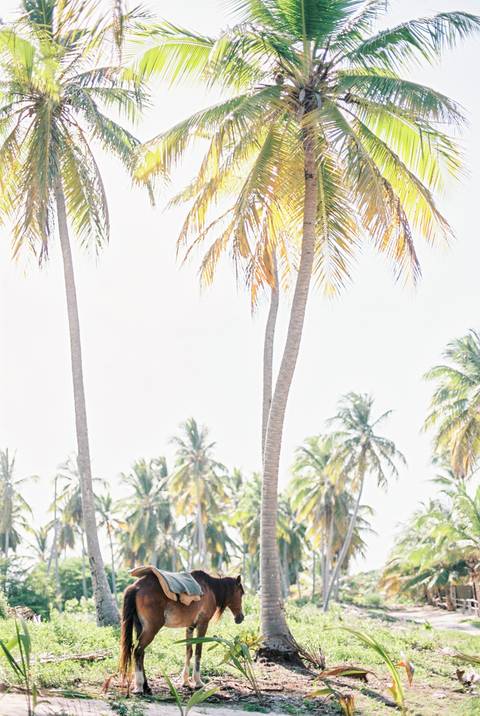 praia, beach, engagement, sessão solteiros, in love, fotografo de casamento, fotografo porto, Dominican republic'