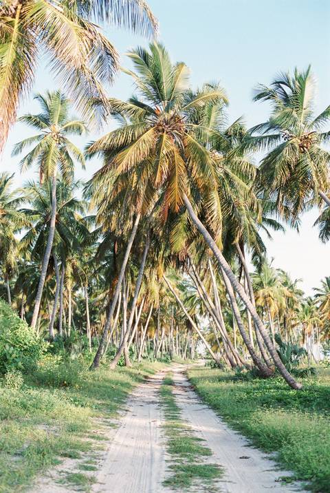 praia, beach, engagement, sessão solteiros, in love, fotografo de casamento, fotografo porto, Dominican republic'