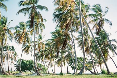 praia, beach, engagement, sessão solteiros, in love, fotografo de casamento, fotografo porto, Dominican republic'