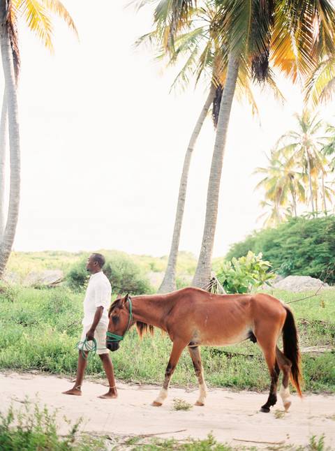 praia, beach, engagement, sessão solteiros, in love, fotografo de casamento, fotografo porto, Dominican republic'