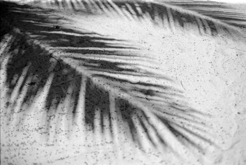 praia, beach, engagement, sessão solteiros, in love, fotografo de casamento, fotografo porto, Dominican republic'