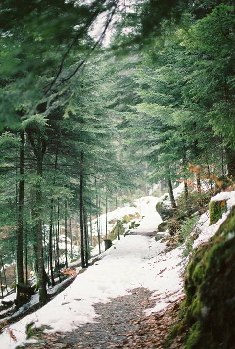  destinationwedding, PortugalPhotographer, lovethedress, fineartphotography, fineartfilm, Switzerland, stylemepretty, rainywedding, winter, weddingswitzerland, blausee, romanticsession, winterwedding, rainy, rainyweddingday, lake, blauseelake'