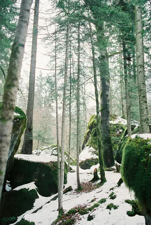  destinationwedding, PortugalPhotographer, lovethedress, fineartphotography, fineartfilm, Switzerland, stylemepretty, rainywedding, winter, weddingswitzerland, blausee, romanticsession, winterwedding, rainy, rainyweddingday, lake, blauseelake'