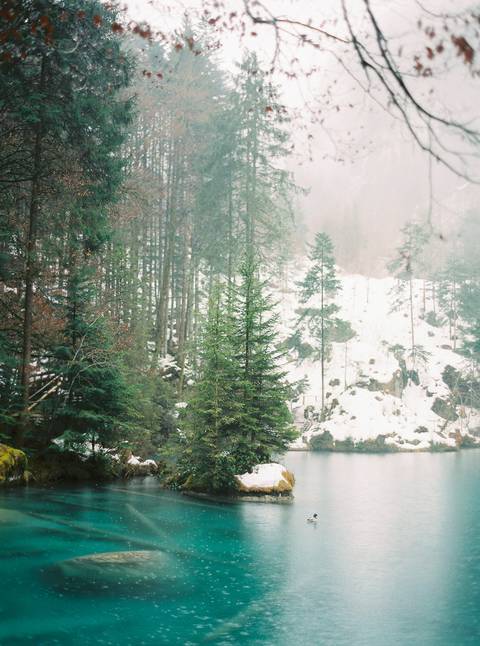  destinationwedding, PortugalPhotographer, lovethedress, fineartphotography, fineartfilm, Switzerland, stylemepretty, rainywedding, winter, weddingswitzerland, blausee, romanticsession, winterwedding, rainy, rainyweddingday, lake, blauseelake'