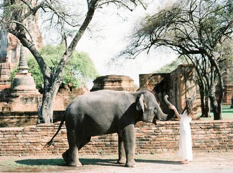 Bride, wedding inspiration, styleshoot, thailand, weddingthailandphotographer, destinationweddingthailand, triptothailand, fineartphotography'