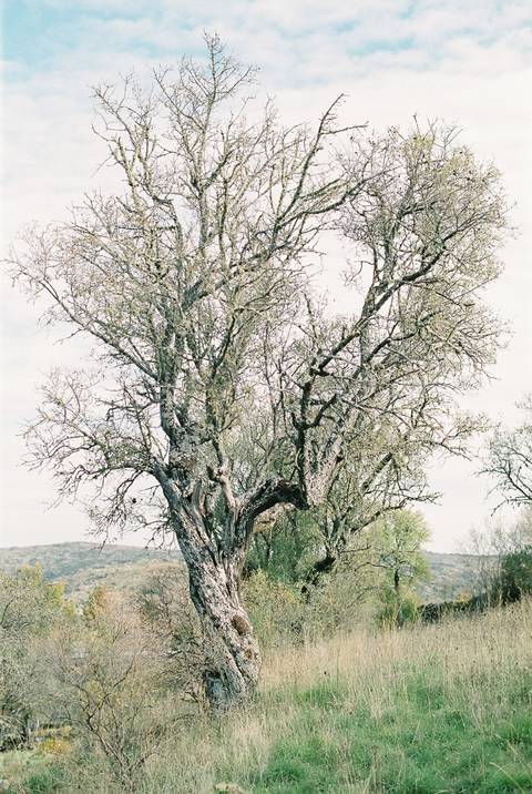  mirandadodouro, Portugalwedding, weddinginspiration, elopement, portuguesephotographer, portuguesewedding, casamento, fotografoporto, oportophotographer'