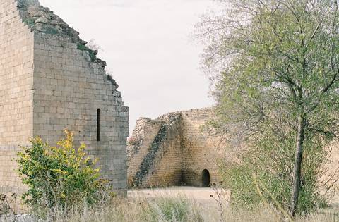  mirandadodouro, Portugalwedding, weddinginspiration, elopement, portuguesephotographer, portuguesewedding, casamento, fotografoporto, oportophotographer'