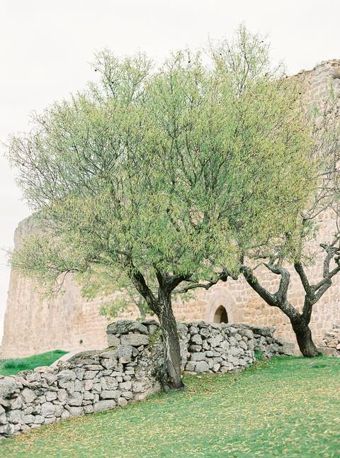  mirandadodouro, Portugalwedding, weddinginspiration, elopement, portuguesephotographer, portuguesewedding, casamento, fotografoporto, oportophotographer'