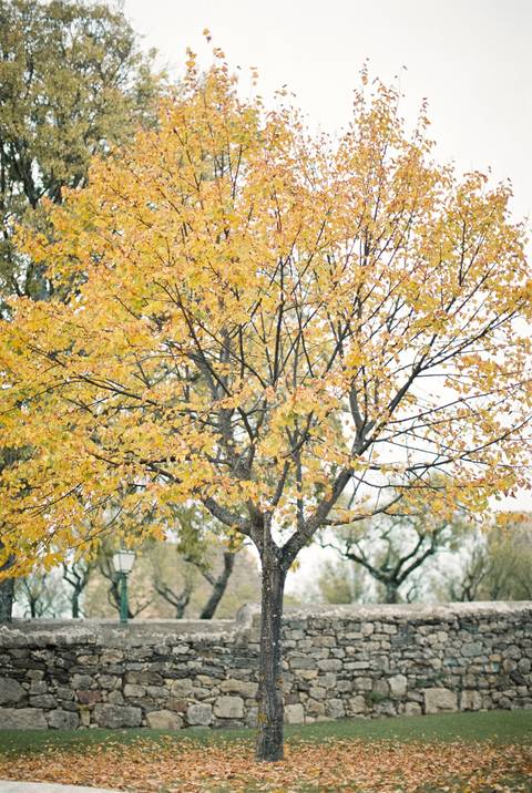  mirandadodouro, Portugalwedding, weddinginspiration, elopement, portuguesephotographer, portuguesewedding, casamento, fotografoporto, oportophotographer'