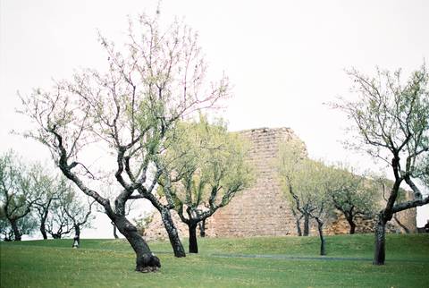  mirandadodouro, Portugalwedding, weddinginspiration, elopement, portuguesephotographer, portuguesewedding, casamento, fotografoporto, oportophotographer'