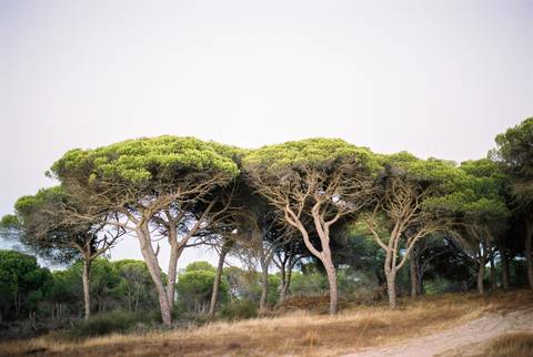  Wedding, Portugal, love, destinationwedding, Portugalwedding, weddingday, happycouple, fineartphotography, sheraton algarve, sheraton, fotografo de casamento, casamento, fotografo algarve, algarve, algarvewedding, lovebird'