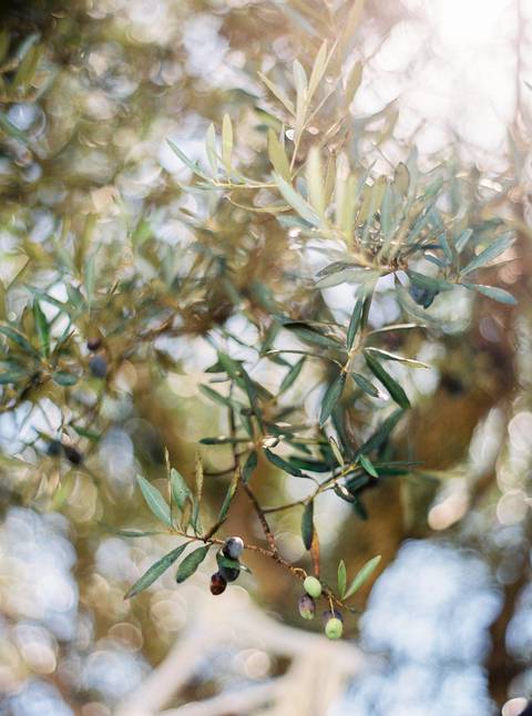  Wedding, Portugal, love, destinationwedding, Portugalwedding, weddingday, happycouple, fineartphotography, sheraton algarve, sheraton, fotografo de casamento, casamento, fotografo algarve, algarve, algarvewedding, lovebird'