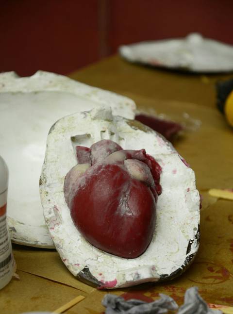 Coração feito com coloração intrínseca'