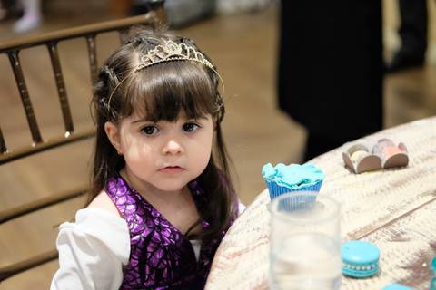 aniversario ana Espaço Florescer Eventos fotografia infantil camilakobata'