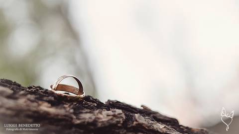 Arroyito, Luiggi Benedetto Fotógrafo di Matrimonio, Córdoba Argentina'