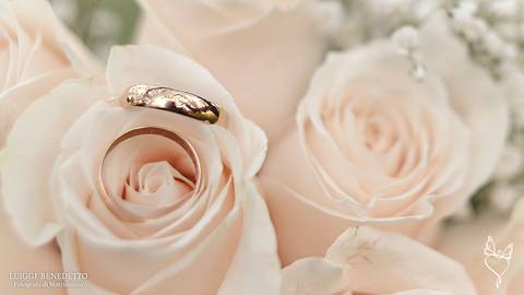 Arroyito, Luiggi Benedetto Fotógrafo di Matrimonio, Córdoba Argentina'