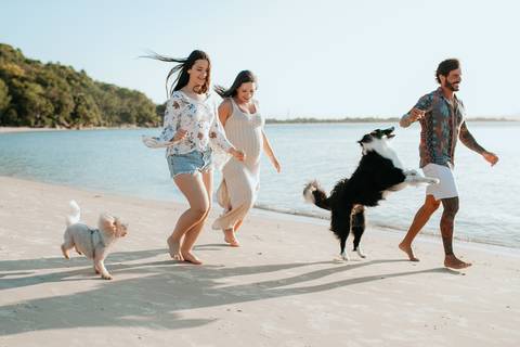 ensaio_gestante_raisa_mello_fotografia_praia_do_forte_florianópolis'