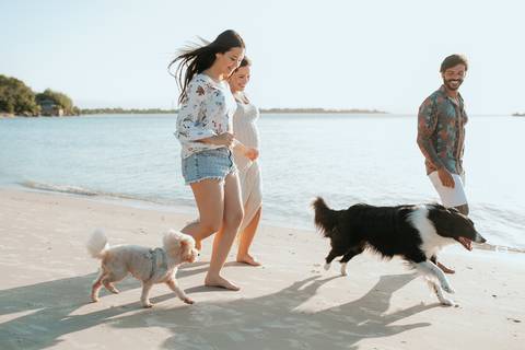 ensaio_gestante_raisa_mello_fotografia_praia_do_forte_florianópolis'