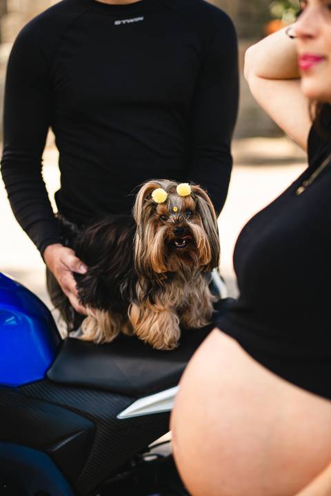 ensaio_gestante_florianopolis_praia_da_armacao_lidi_valentina_raisamello'