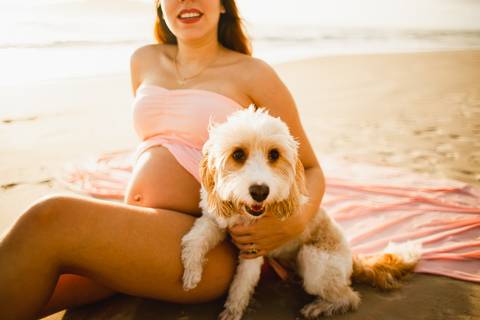 ensaio_gestante_florianopolis_praia_do_campeche_laura_lavinia_raisamello'