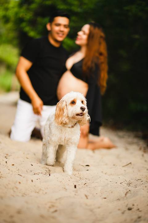 ensaio_gestante_florianopolis_praia_do_campeche_laura_lavinia_raisamello'