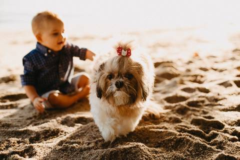 ensaio-pre-1ano-cacupe-florianopolis-theo'