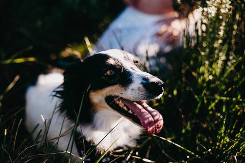 ensaio-gestante-morro-da-boa-vista-rancho-queimado-taise'
