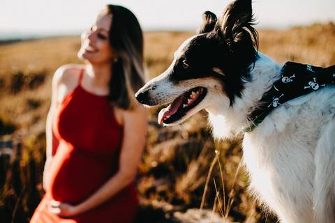 ensaio-gestante-morro-da-boa-vista-rancho-queimado-taise'