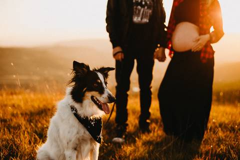 ensaio-gestante-morro-da-boa-vista-rancho-queimado-taise'