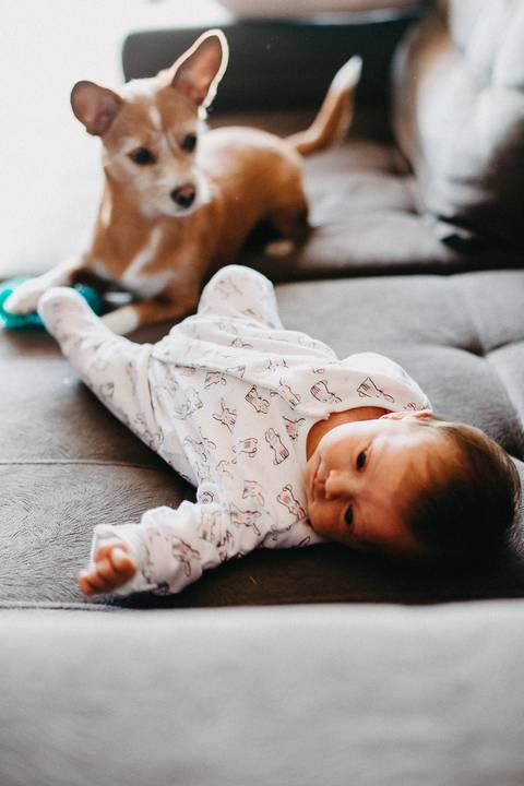 ensaio_new_born_life_style_raisa_mello_fotografia'