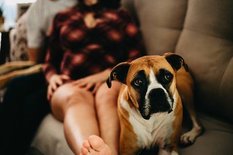 ensaio_gestante_edneia_raisa_mello_fotografia_florianopolis '